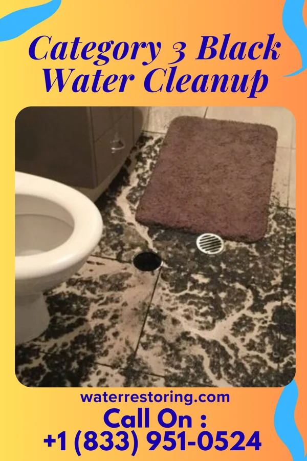 Category 3 Black Water Cleanup in Montoursville, PA