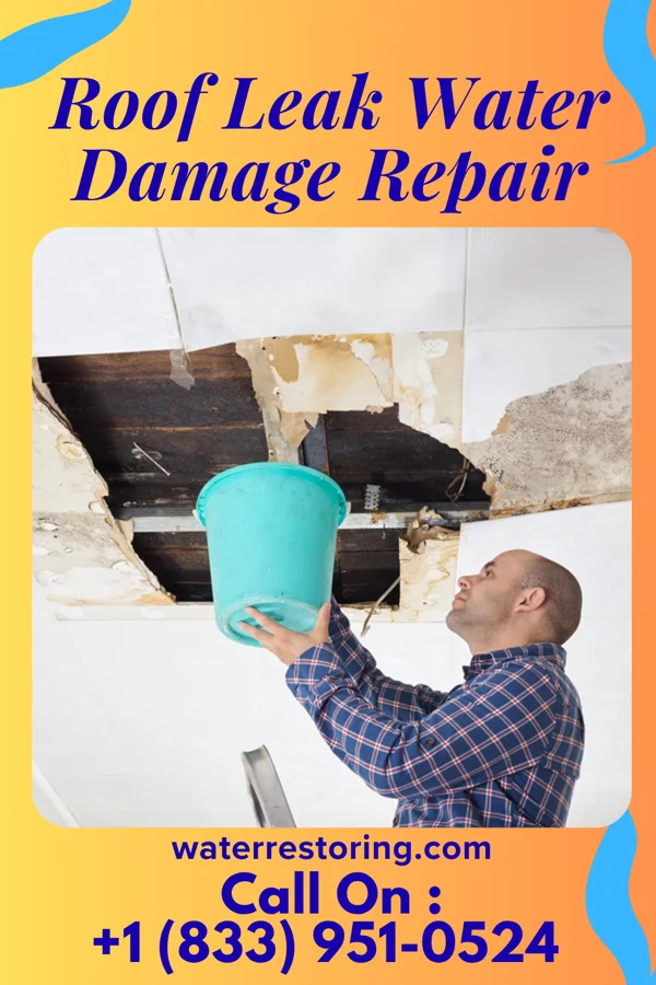 Roof Leak Water Damage Repair in Montoursville, PA