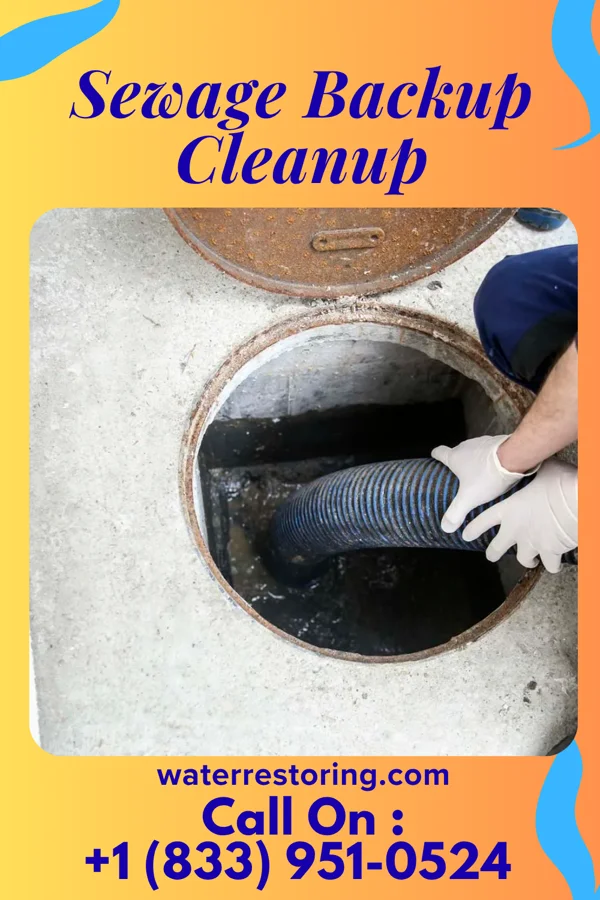 Sewage Backup Cleanup in Montoursville, PA