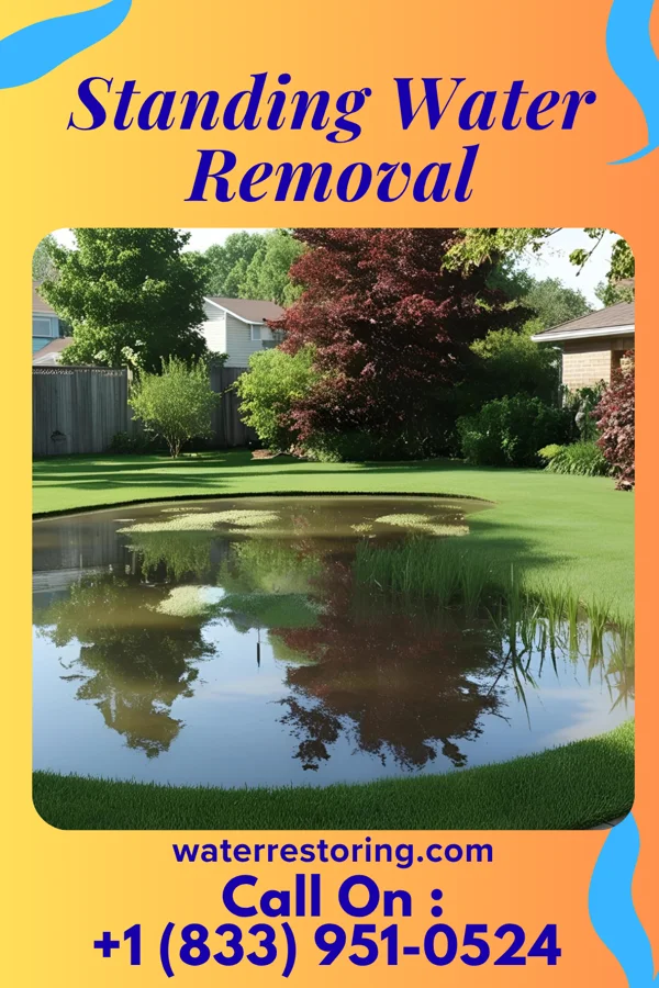 Standing Water Removal in Montoursville, PA